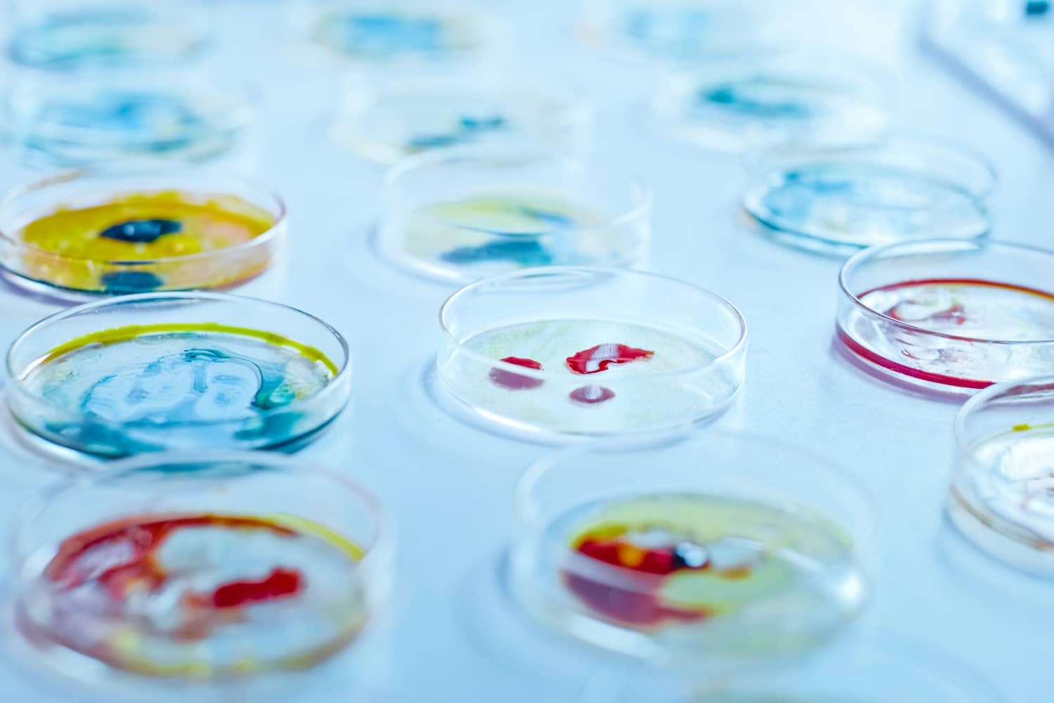 Mikrobiológiai vizsgálat