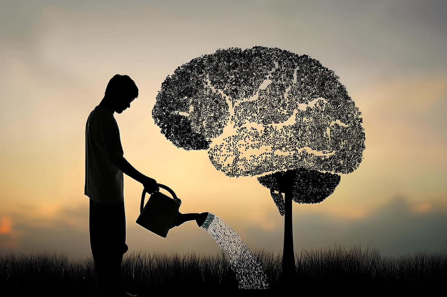 Önismeret támogatás